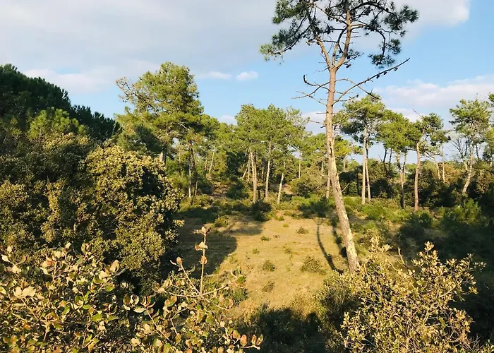 Апартаменты Le Miramar, Face Et Standing